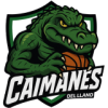 Logo Caimanes del Llano