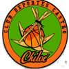 Logo Club Deportes Castro