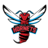 Logo Delaware State Hornets (Women)