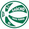 Logo Gaucho Passo Fundo