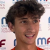 Logo Ilija Palavestra