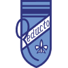 Logo Reducto
