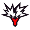 Logo Team Yandex