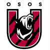 Logo Universidad Americana del Noreste